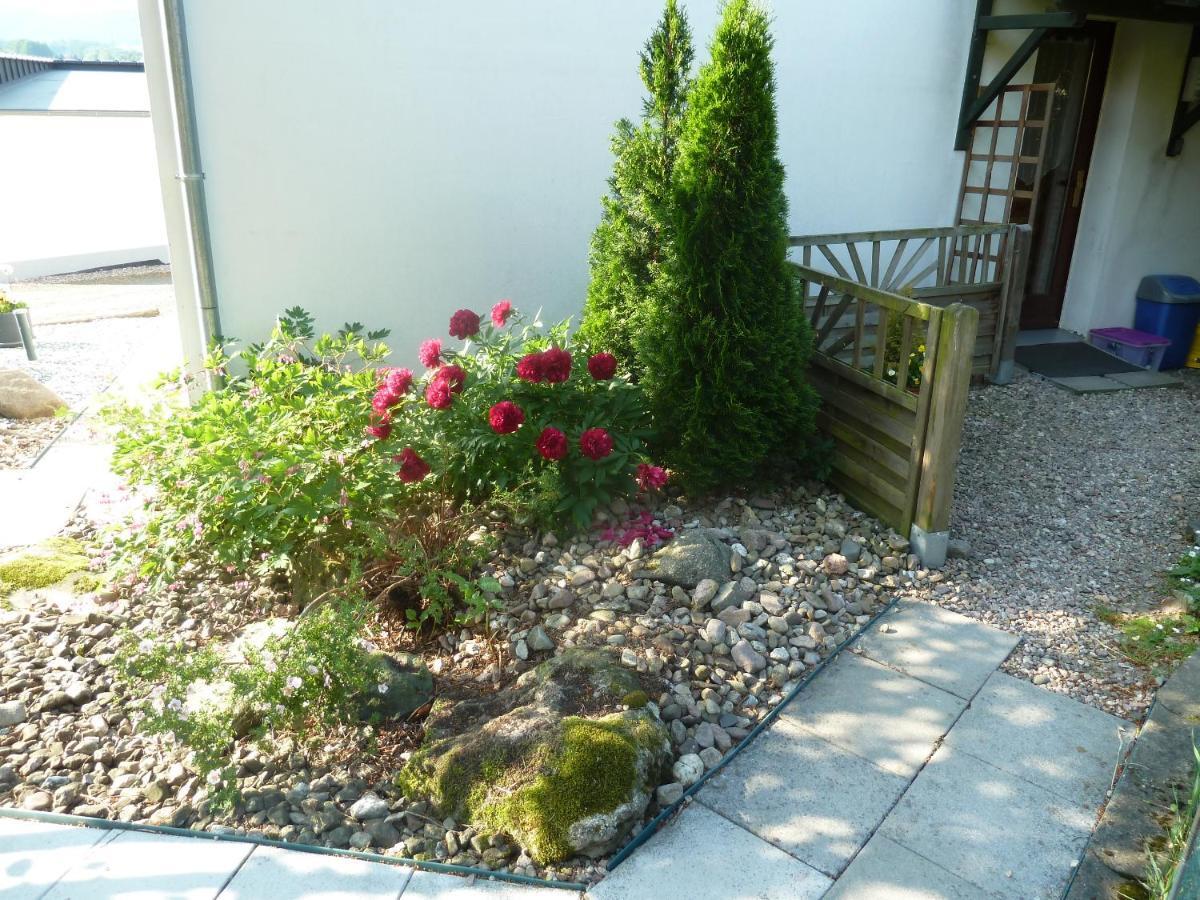 Ferienwohnung Lotti Brotterode-Trusetal Exterior photo